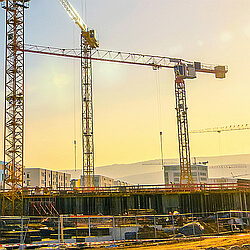 Photo of a construction site with cranes